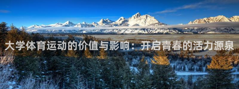 哈哈体育下载：大学体育运动的价值与影响：开启青春的活力源泉