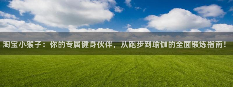 哈哈体育：淘宝小猴子：你的专属健身伙伴，从跑步到瑜伽的全面锻炼指南！