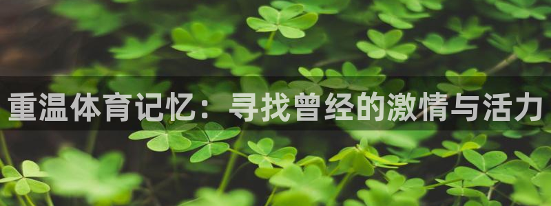 哈哈体育下载：重温体育记忆：寻找曾经的激情与活力