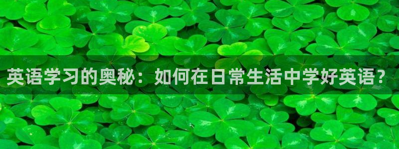 哈哈体育十年：英语学习的奥秘：如何在日常生活中学好英语？