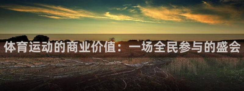 哈哈体育：体育运动的商业价值：一场全民参与的盛会