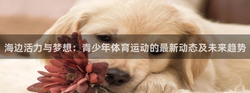 哈哈体育十年：海边活力与梦想：青少年体育运动的最新动态及未来趋势