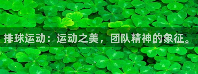 哈哈体育十年：排球运动：运动之美，团队精神的象征。