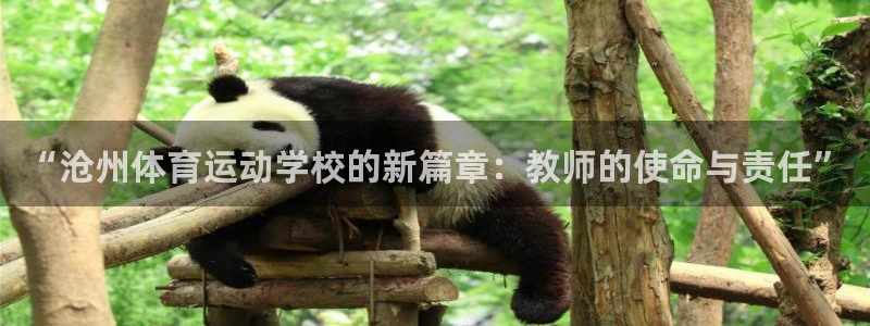 哈哈体育十年：“沧州体育运动学校的新篇章：教师的使命与责任”