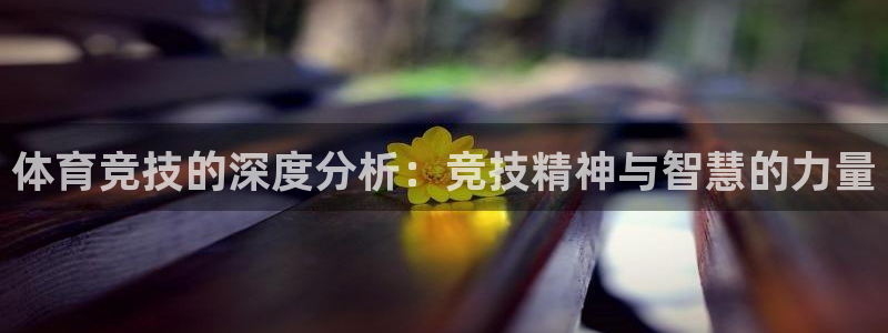哈哈体育十年：体育竞技的深度分析：竞技精神与智慧的力量