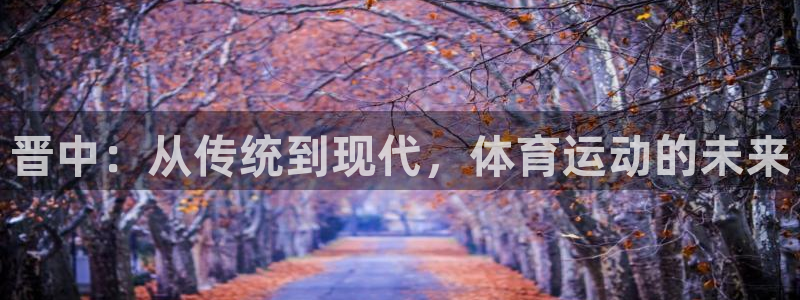 哈哈体育：晋中：从传统到现代，体育运动的未来