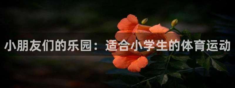 哈哈体育：小朋友们的乐园：适合小学生的体育运动