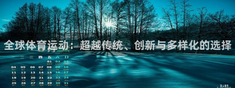 哈哈体育十年：全球体育运动：超越传统、创新与多样化的选择